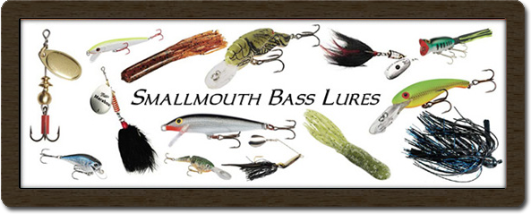 Small Mouth Lures 59